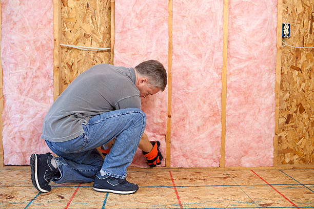 Best Insulation Repair Services  in Brighton, CO