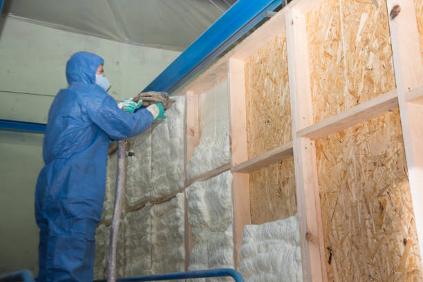 Best Insulation Replacement Services  in Brighton, CO