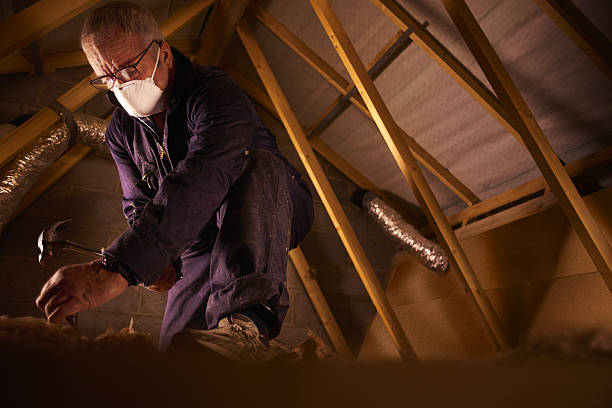 Best Attic Insulation Installation  in Brighton, CO